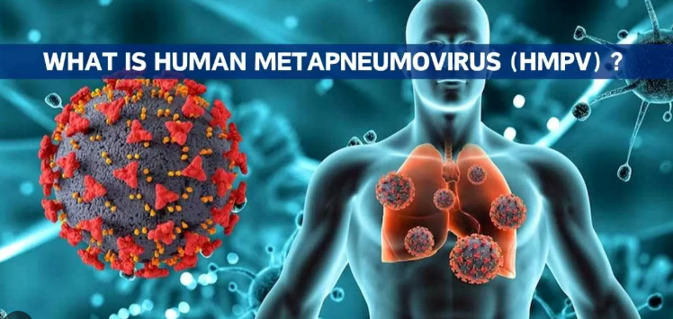 Human Metapneumovirus (HMPV) : Update India 2025