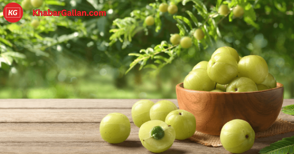 The Wonders of Indian Gooseberry Now: A Nutrient-Packed Superfruit